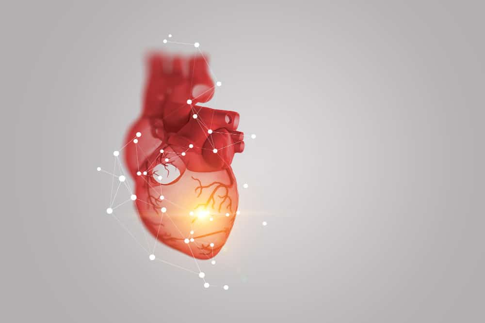 Zrozumieć Choroby Serca: Przewodnik po Kardiologii
